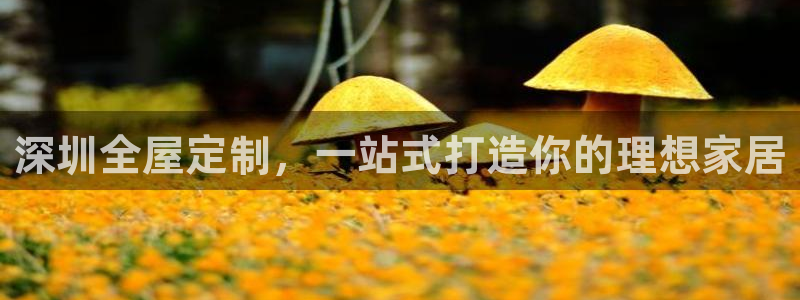 BB电子游戏钱得钱