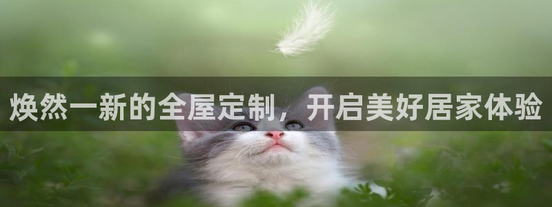 bb电子最简单设置方法