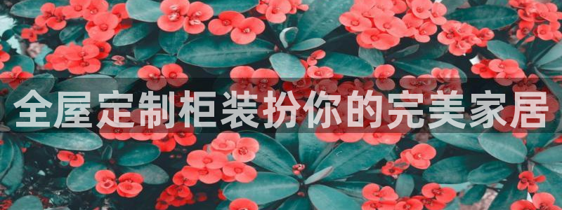 bb电子哪个平台好出款啊