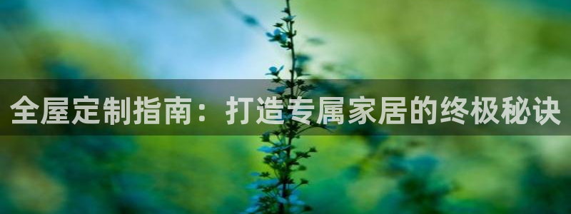 bb电子中了Major怎么算