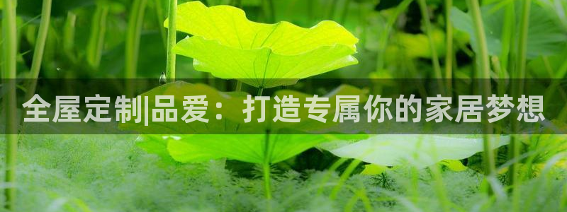 bb电子最简单设置方法