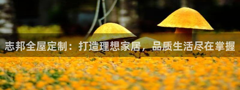 bb电子哪个游戏好赢钱