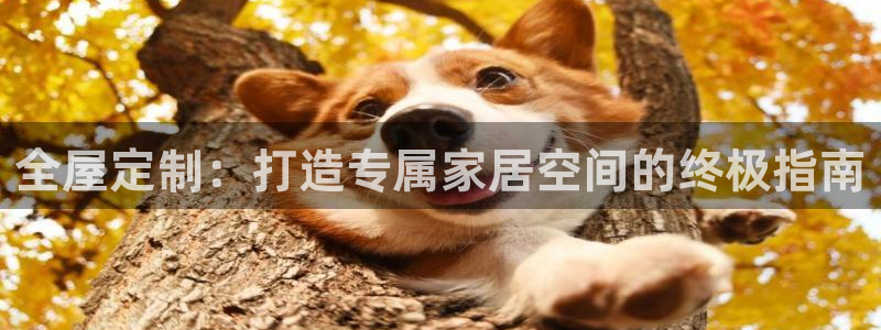 bb电子为什么总赢不了