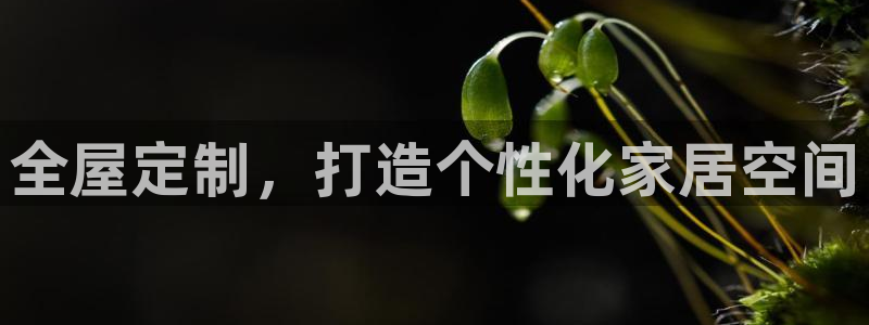 BB电子连环夺宝