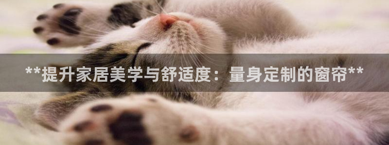 bb电子为什么总赢不了