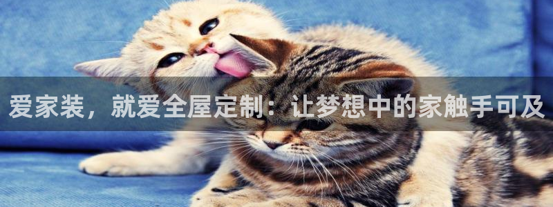 bb电子哪个平台好些