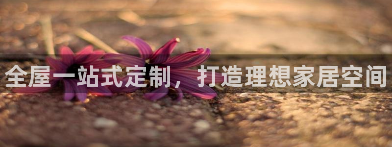 bb电子哪个平台好啊