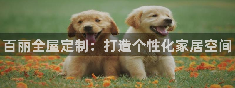bb电子哪个平台好啊