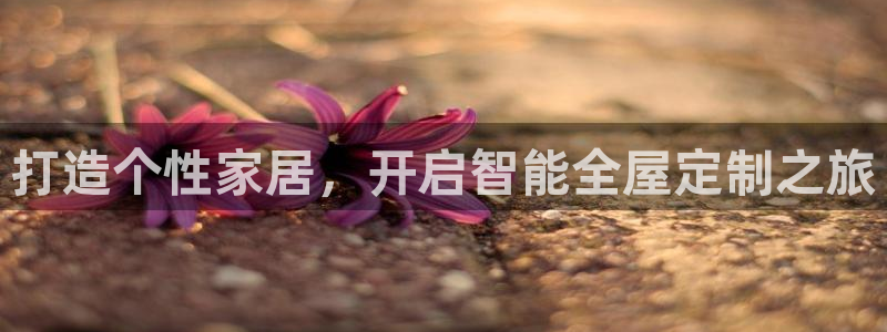 bb电子最简单设置方法