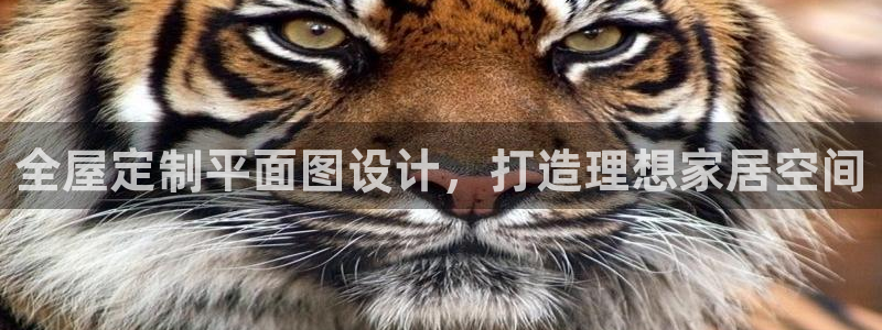 bb电子哪个平台好用点