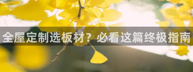 xbb电子游艺