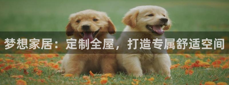 bb电子哪个平台好用点