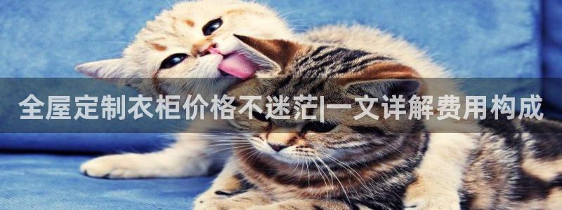 bb电子教育平台