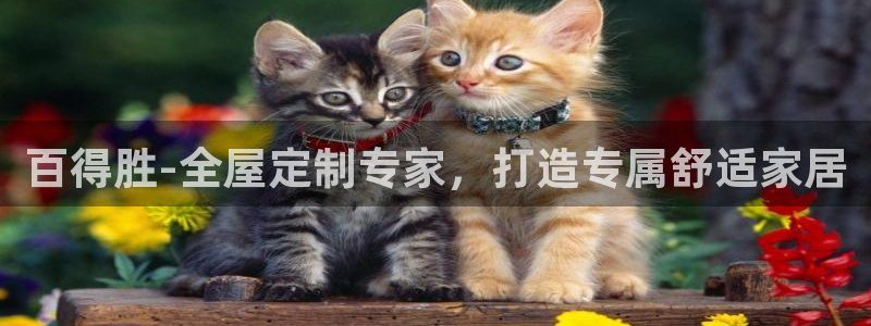 bb电子哪个游戏好赢钱一点的