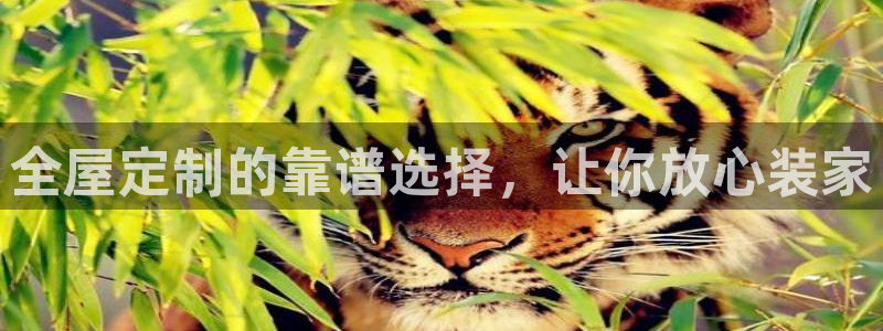 bb电子什么游戏好赢一点