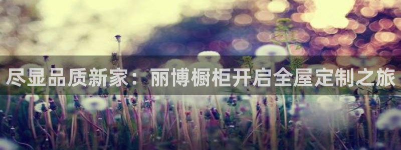 BB电子骗局
