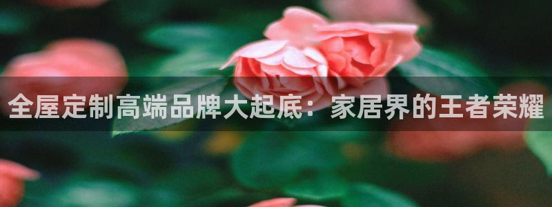 bb电子哪个平台好啊