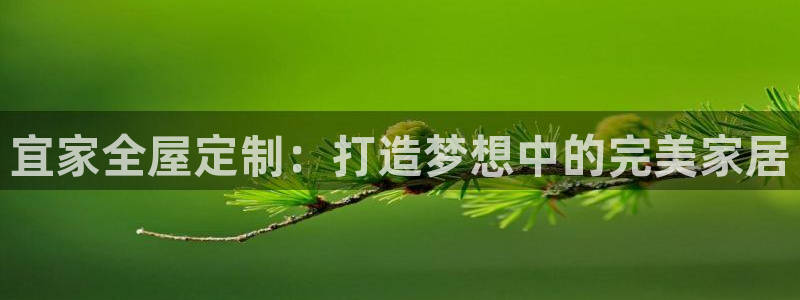 BB电子锁怎么接电
