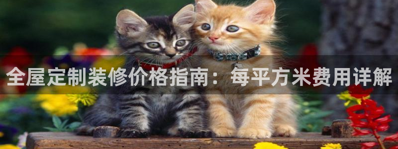 bb电子教育平台