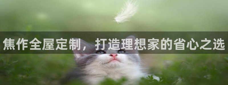 Bb电子琴和弦是哪个