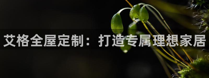 bb电子哪个平台好点