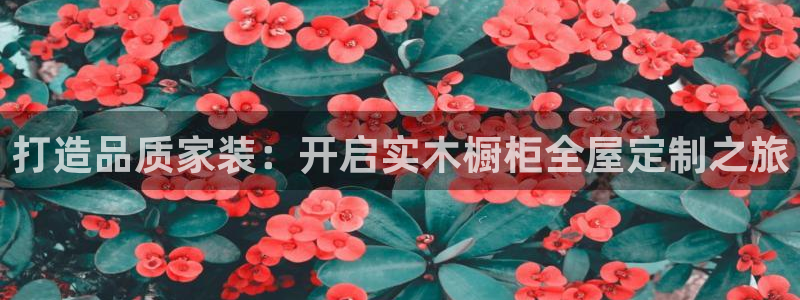 bb电子怎么英语怎么说