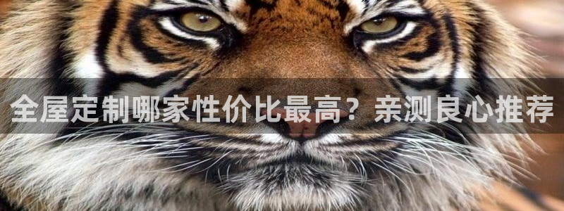 bb电子怎么赢