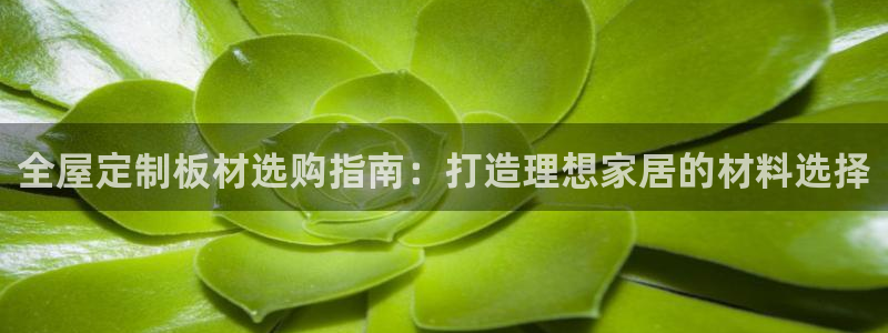 BB电子麻将胡了