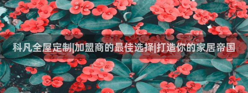 bB电子琴和弦
