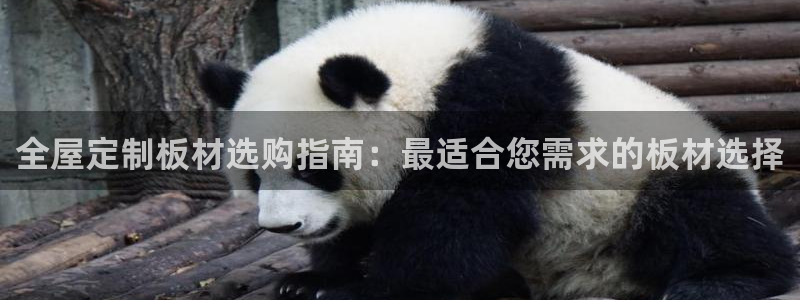 BB电子开户