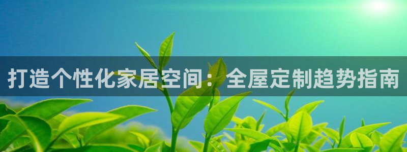 bb电子哪个平台好一点