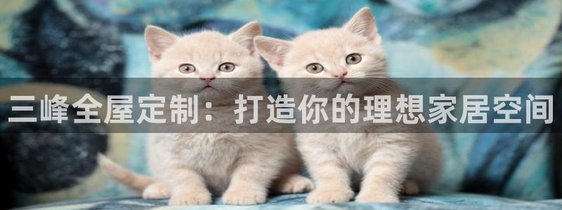 BB电子锁怎么接电