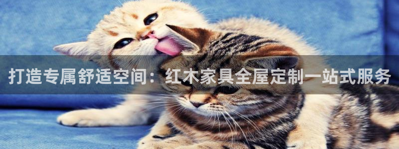 BB电子骗局