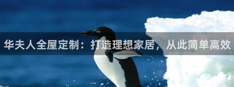 BB电子骗局