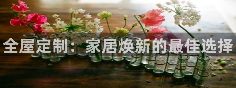 BB电子锁怎么接电