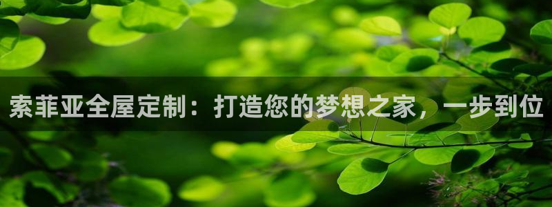 bb电子怎么样