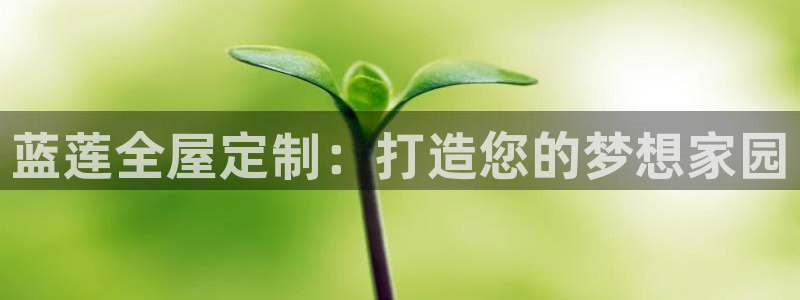 网上bb电子为什么那么假