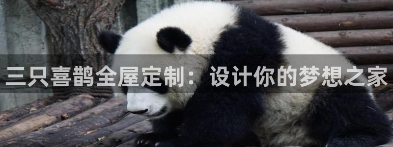 bb电子为什么总赢不了