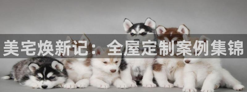 网上bb电子为什么那么假的