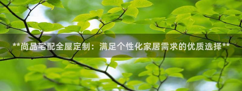 bb电子哪个平台好一点
