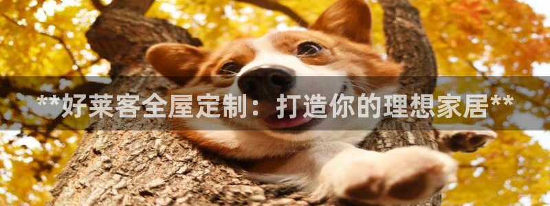 BB电子开户