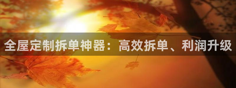 bb电子哪个平台好用一点