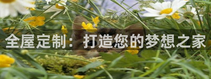 bb电子怎么英语怎么说