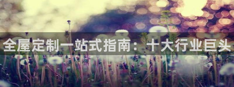 bb电子哪个平台好一点