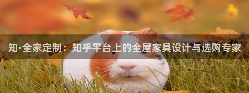 BB电子开户
