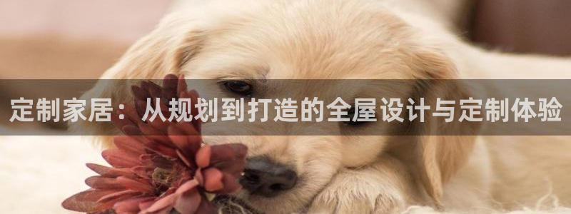 bb电子mini彩金掉落规则