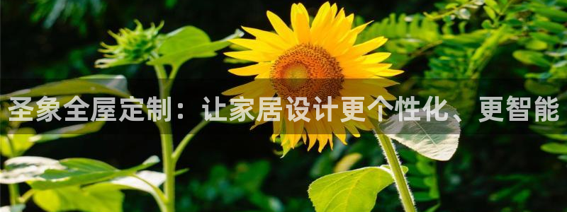 bb电子游戏娱乐平台