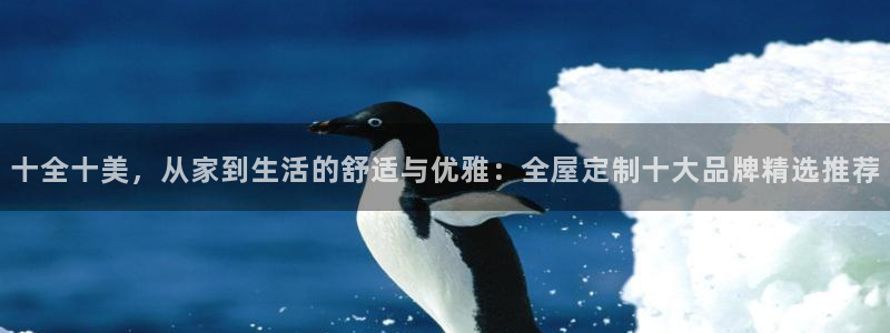 bb电子哪个平台好用点