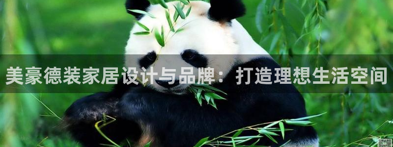 bb电子哪个平台好用一点