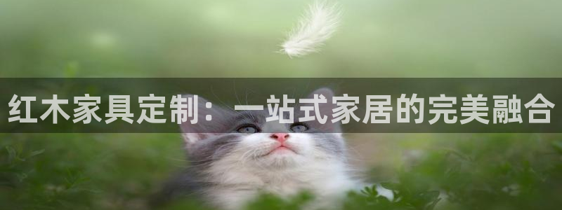 bb电子为什么总赢不了